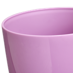 brussels diamond orchidée haut 12,5cm violet vif